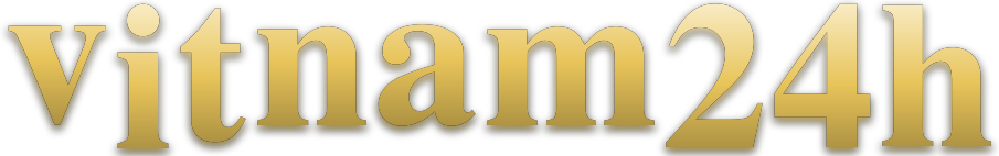 vitnam24h logo